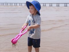 -南汇嘴观海公园