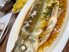 清蒸白水鱼-妈妈的小作坊(陈家镇店)