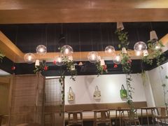 -柴务处·柴犬主题狗咖