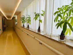 -雪绒花月子会所(祥盛店)