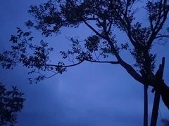 -武陵山森林公园
