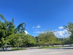 -中国科学院西双版纳热带植物园