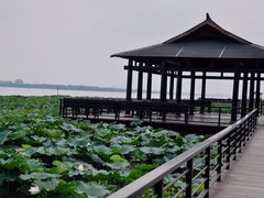 -莲花岛景区