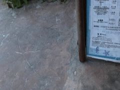 -亚马逊丛林水乐园