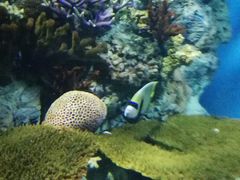 -福州罗源湾海洋世界旅游区