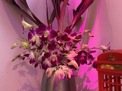 -樱花里音乐餐吧·牛扒椰子鸡(东圃店)