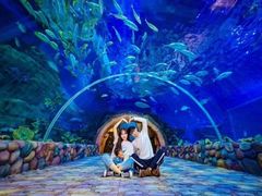 -华夏文旅海洋公园