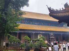 -普陀山风景名胜区-法雨禅寺