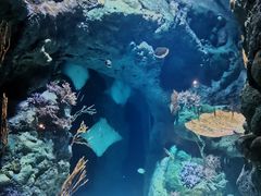 -珠海长隆海洋王国
