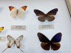 -中国湿地博物馆