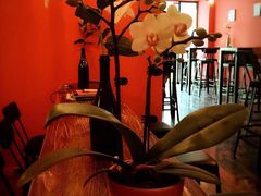-CIN CIN CANTINA&BAR