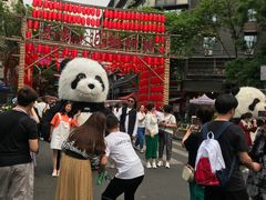-泡桐树街