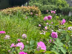 -江宁织造博物馆