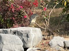 -狼山风景名胜区