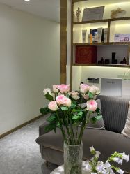 -MIDA蜜哒•科技逆龄美肤连锁