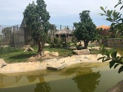 -芽庄珍珠岛游乐园