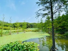 -同里国家湿地公园