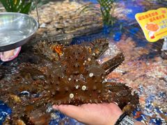 -79号渔船海鲜饭店(华强北店)