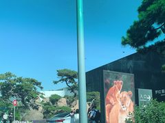 -罗红摄影艺术馆