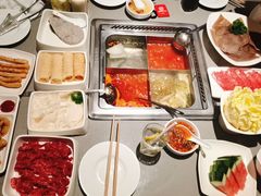 -海底捞火锅(吾悦国际广场店)