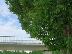 -白鹭湾湿地公园