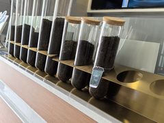 -雾与山茶(大禹城店)