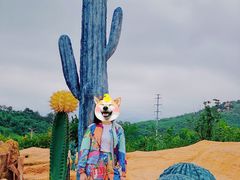 -西海岸生态观光园