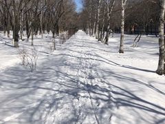 -布拉戈维申斯克