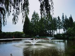 -黄兴公园