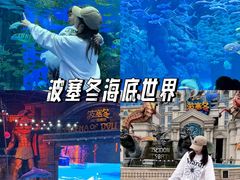 -哈尔滨波塞冬海底世界