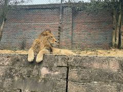 -乐和乐都主题乐园