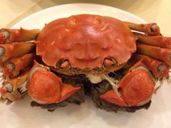 -王宝和酒家(黄浦店)