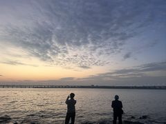 -宝安西湾红树林湿地公园