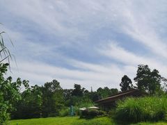 -桤木河湿地公园