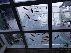 -蜜舍咖啡(洋人街店)