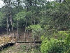 -南京市无想山景区