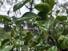 -杜甫江阁