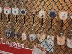 -和它·交个朋友·狗咖猫咖(爱琴海店)