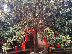 -金堂县云顶石城风景区