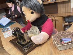 -济州岛泰迪熊博物馆