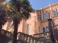 -上海佘山国家森林公园西佘山园