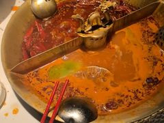 -小龙翻大江文化火锅(宽窄店)