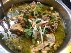 鲜嫩泡姜鸡-陈三娃泡姜鸡(太白北路店)