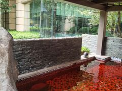-北京乐多港万豪酒店汤乐宫温泉
