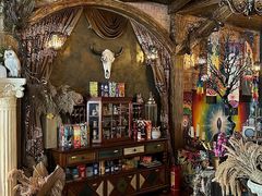 -雪灵魔法世界SHELLY’S TAROT(大良桂畔里店)