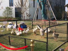 -上海长兴岛郊野公园