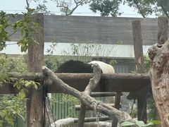 -武汉动物园