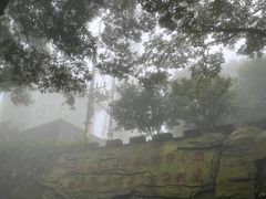 -广州市帽峰山景区