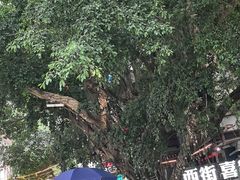-刘姐啤酒鱼民族演艺餐厅(西街总店)