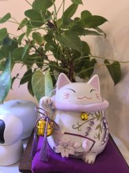 -S&G Beauty轻奢皮肤管理中心